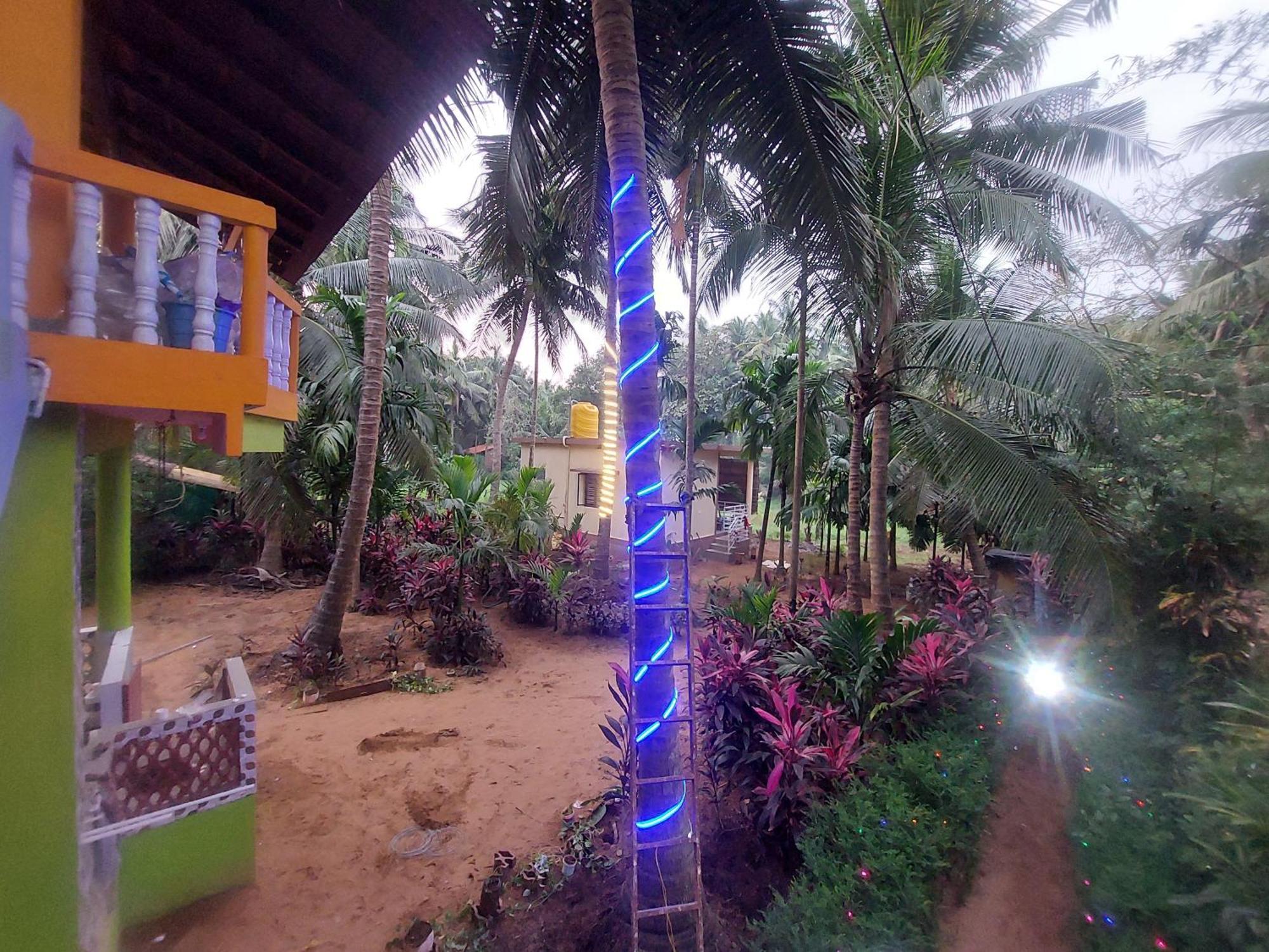 Villa Areca Nest à Gokarna  Extérieur photo