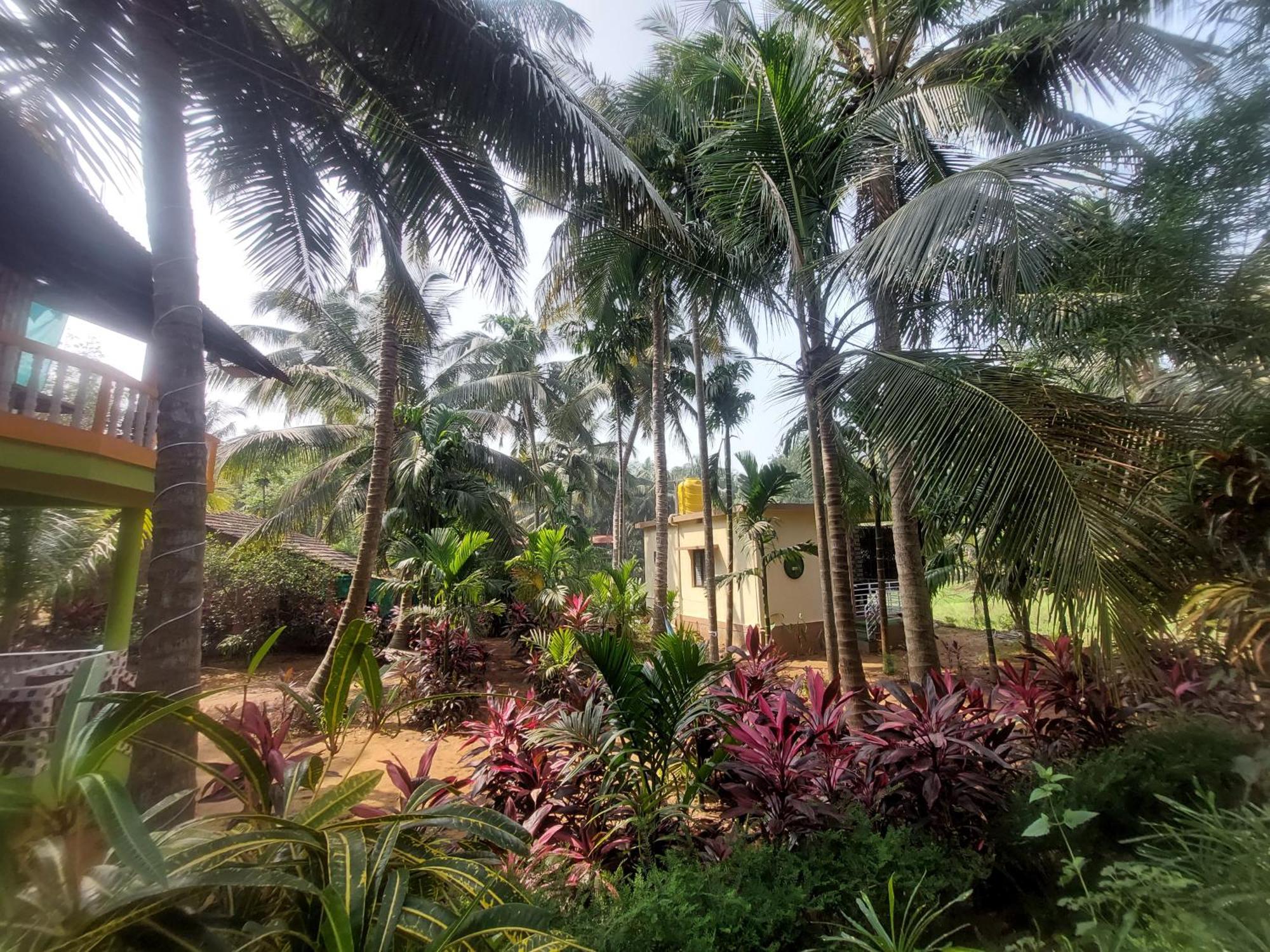 Villa Areca Nest à Gokarna  Extérieur photo