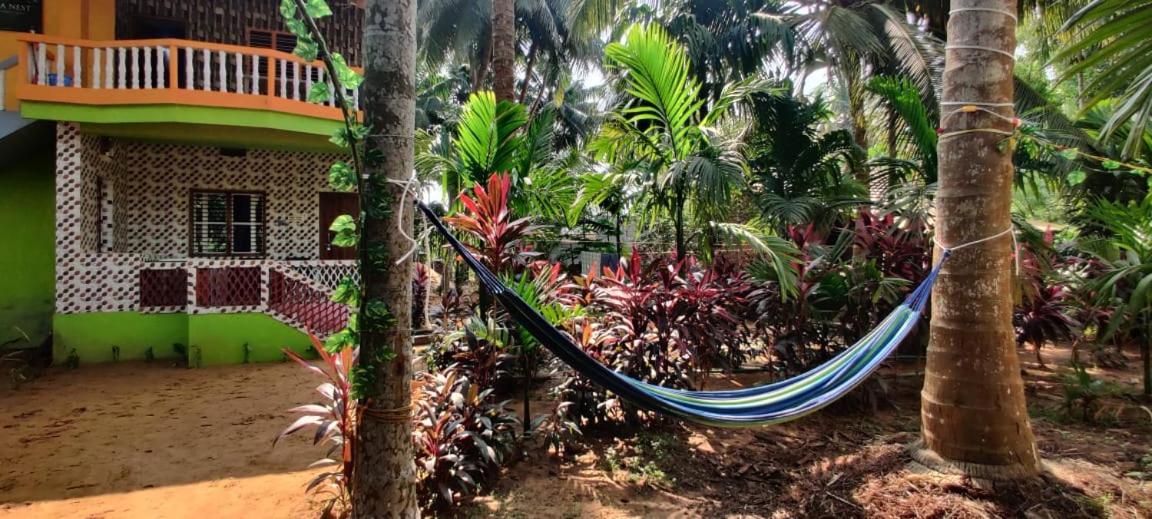 Villa Areca Nest à Gokarna  Extérieur photo