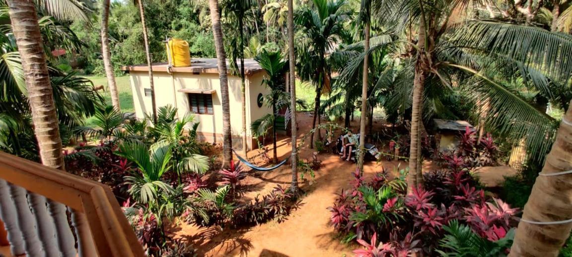 Villa Areca Nest à Gokarna  Extérieur photo